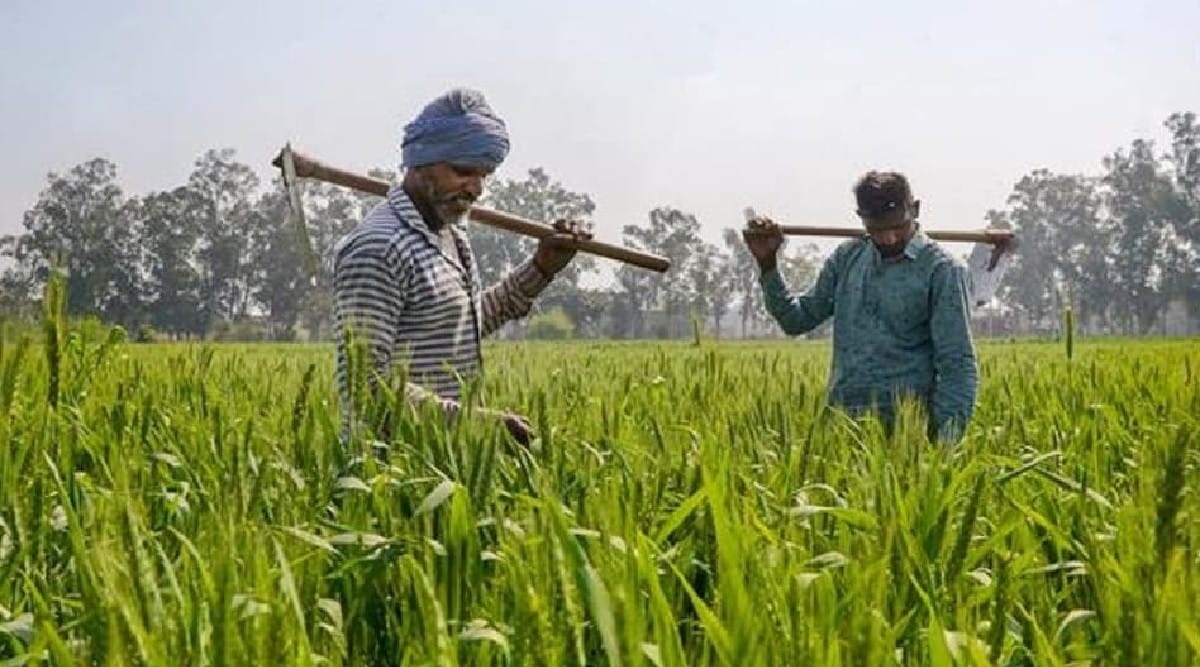 बिहार के गन्ना किसान देश के विभिन्न गन्ना संस्थानों में सीख रहे उन्नत गन्ना उत्पादन तकनीक