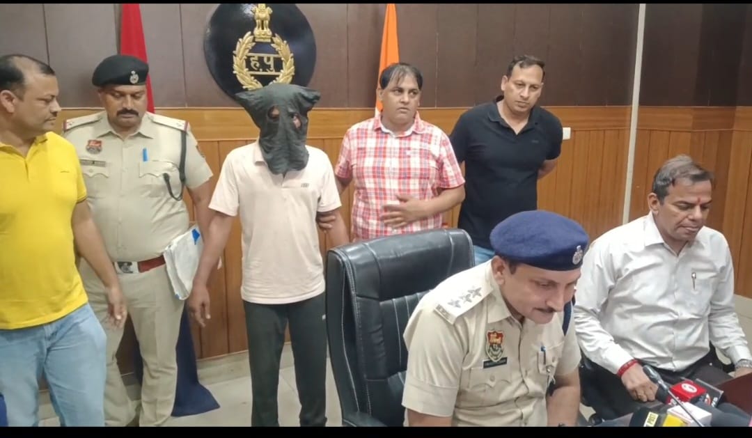 लूट का समाराज्य! 6 जिलों में वारदातें, 16 FIR दर्ज